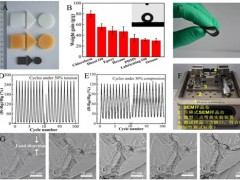 新疆理化所三維高分子納米復合材料的制備及應用研究取得進展